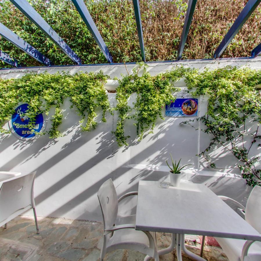 Anonymous Beach Hotel (Adults Only) Айя Напа Екстериор снимка